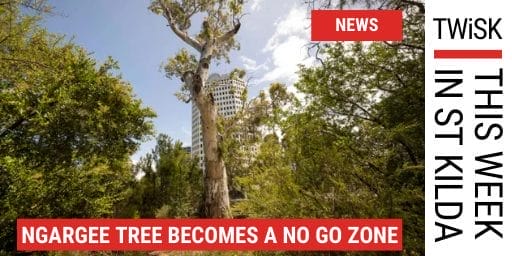 Ngargee Tree now no go zone