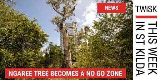 Ngaree Tree now no go zone